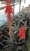 20160326_153518_resized_2.jpg