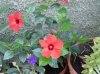 271_SAM_0835.JPG 271_SAM_0835.JPG