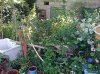 0111.jpg