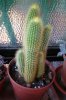 100_0126.jpg