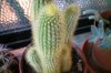 100_0127.jpg
