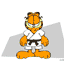garfield arti marziali.gif garfield arti marziali.gif