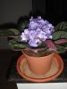 DSC03877.jpg