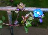 DSCN6965.JPG