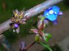 DSCN6968.JPG