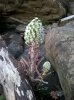 WP_20160327_045.jpg