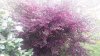 20160316_095913.jpg