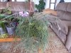 P1120138.jpg
