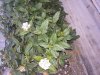 20160326_173816c.jpg