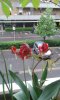 IMG-20160408-WA0004.jpg