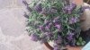 20160412_190541.jpg