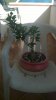 WP_20160416_08_58_04_Pro.jpg