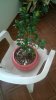 WP_20160411_09_49_13_Pro.jpg