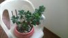 WP_20160411_09_47_50_Pro.jpg