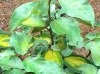 P_20160417_124539ridotta.jpg