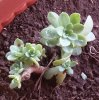 20160407_162836.jpg
