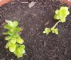 20160407_162854.jpg
