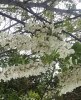 20160418_153916.jpg