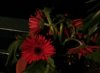 20160418_213450-1-min.jpg