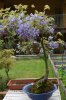 DSC_4479.JPG