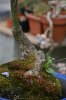 DSC_4483.JPG