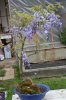DSC_4484.JPG