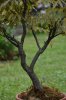 DSC_4489.JPG