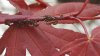 IMG-20160423-WA0001.jpg