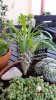 20160424_081324.jpg