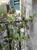 IMG-20160423-WA0005.jpg