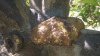 WP_20160423_004.jpg