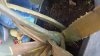 20160425_125758.jpg 20160425_125758.jpg