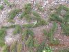 IMG_6719.JPG