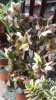 Screenshot_2016-04-25-18-15-14_resized.png