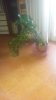 20160425_103925.jpg