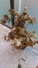 P_20160425_181122_resized.jpg