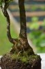 DSC_4559.JPG