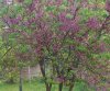 20160427_181733-1-1.jpg