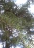 _20160501_154425.JPG