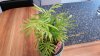 20160501_172203.jpg