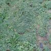 20160406_073451-1.jpg