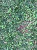 Image1462304634.864220.jpg