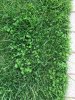 Image1462304671.146494.jpg