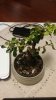 rps20160503_233356.jpg