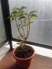2011-10-10 16.00.23.jpg