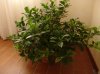 DSC05582.jpg