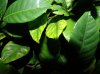 DSC05570.jpg
