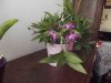 DSCF3162.jpg