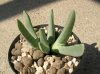 DSCN6819.jpg