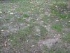 IMG_1158.jpg